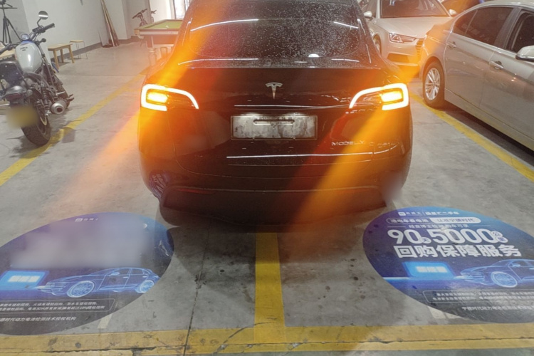 Tesla Model Y 2023 #6 Tesla Model Y 2023 car image #6