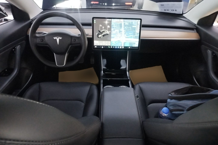 Tesla Model 3 2020 immagine di auto #10