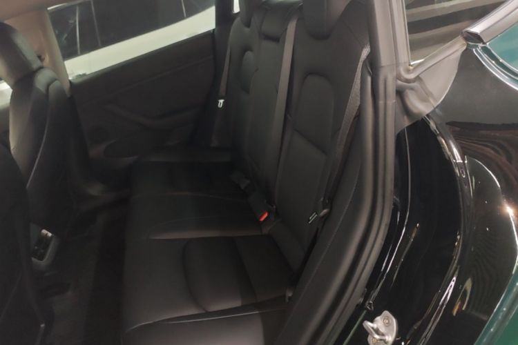 Tesla Model 3 2021 #17 Tesla Model 3 2021 car image #17
