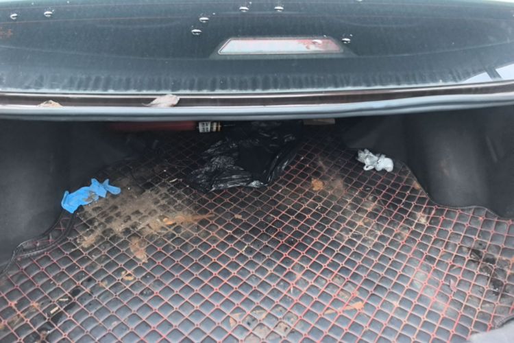 GEELY Emgrand 2018 car image #19
