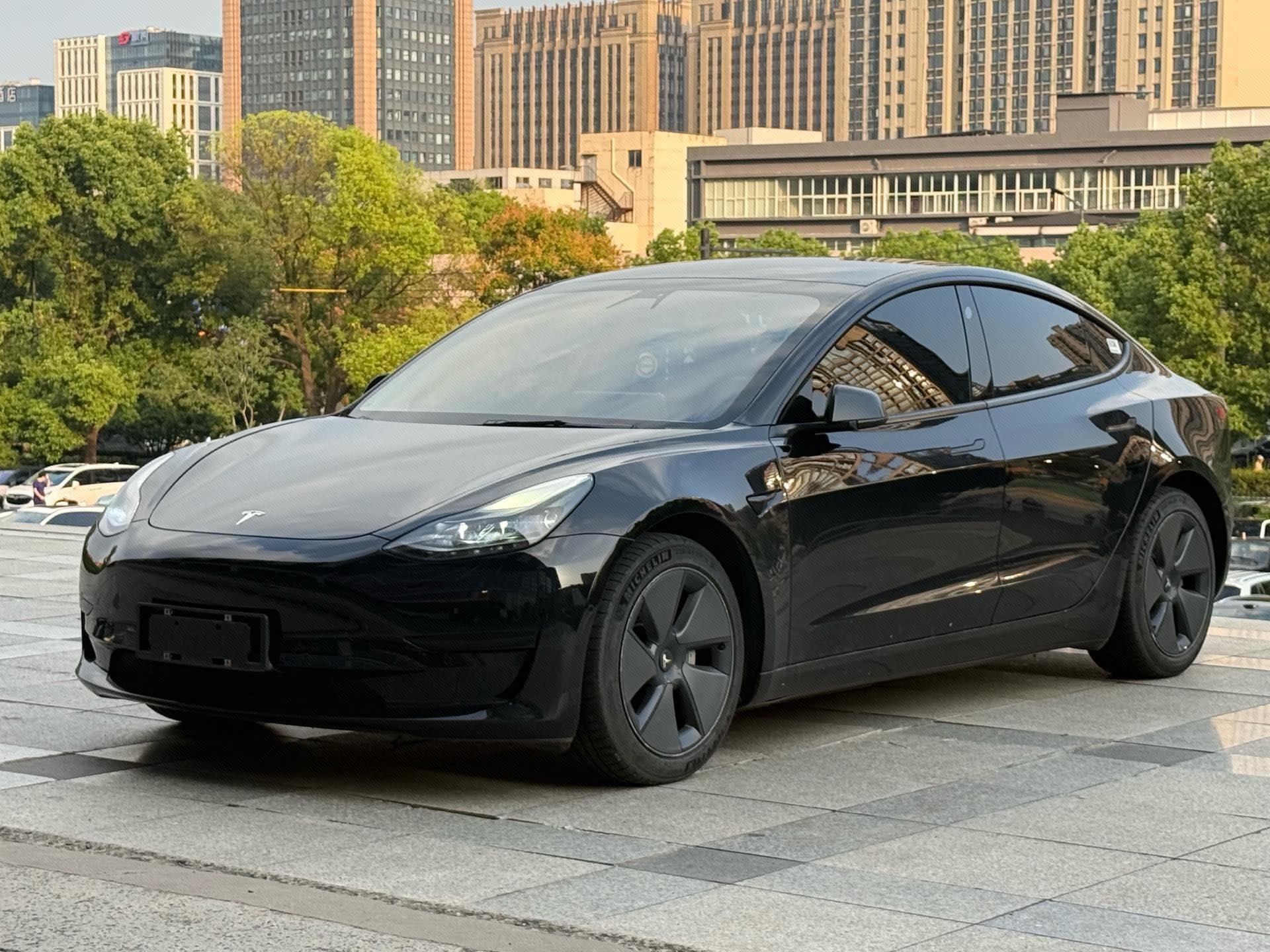 Tesla Model 3 2021 immagine di auto 