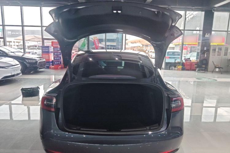 Tesla Model 3 2021 #19 Tesla Model 3 2021 immagine di auto #19