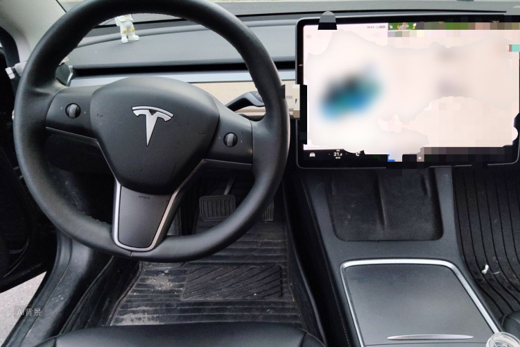 Tesla Model 3 2021 car image #11