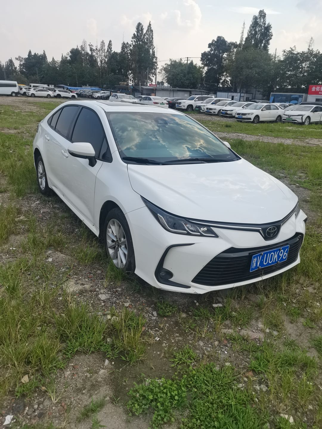 Toyota Corolla 2022 car image #5