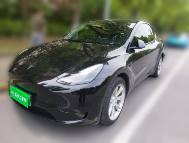 Tesla Model Y 2022 car image 