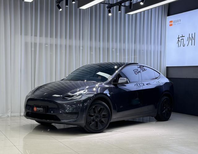 Tesla Model Y 2024 car image #18