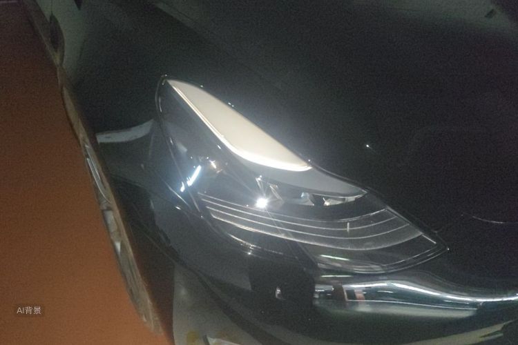 Tesla Model 3 2022 car image #8