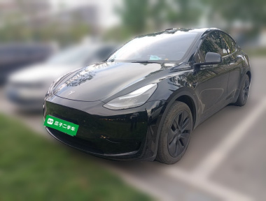 Tesla Model Y 2023 Tesla Model Y 2023 car image