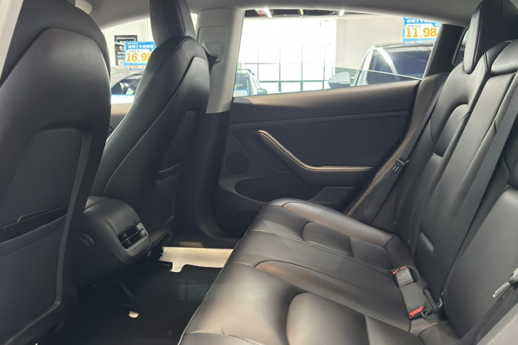 Tesla Model 3 2022 #14 Tesla Model 3 2022 car image #14
