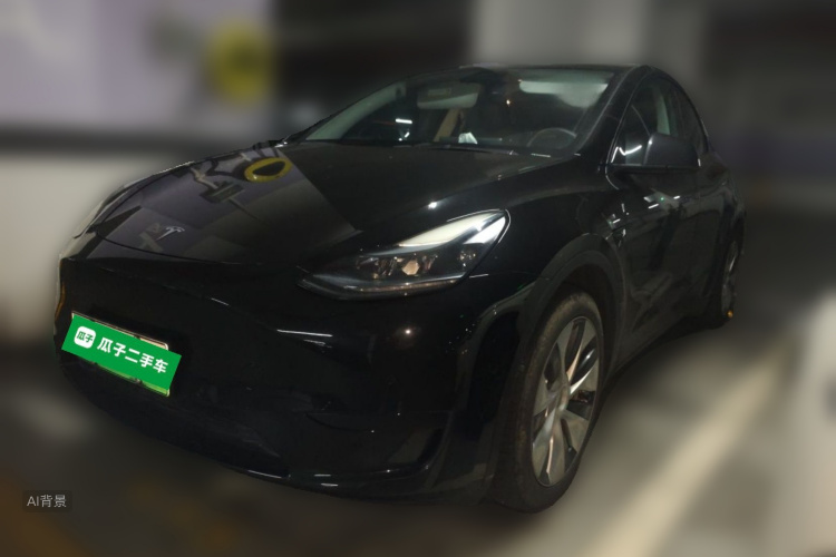 Tesla Model Y 2022 immagine di auto #2
