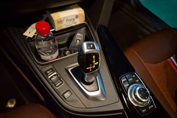 BMW 3 Series 2016 car image #16