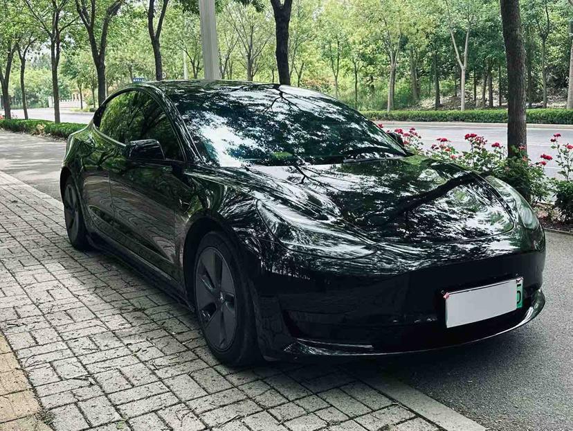 Tesla Model 3 2020 car image #3