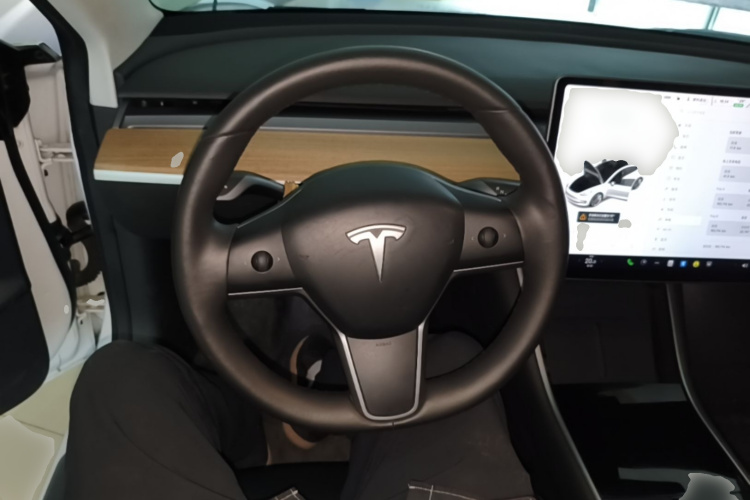 Tesla Model 3 2020 car image #11