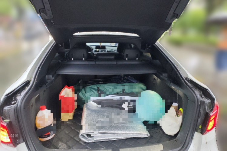 BMW 3 Series GT 2020 car image #21