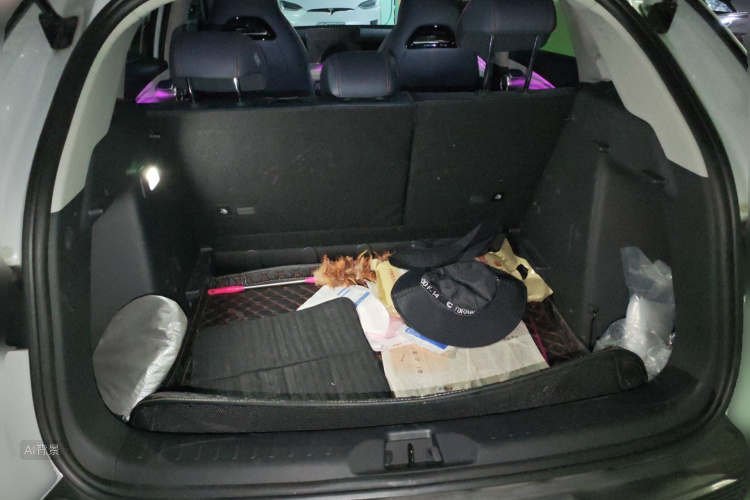 BYD Yuan Plus 2023 car image #21