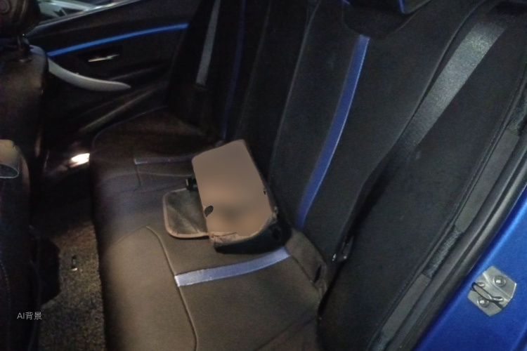 BMW 3 Series 2017 car image #19