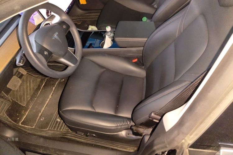Tesla Model 3 2020 immagine di auto #17