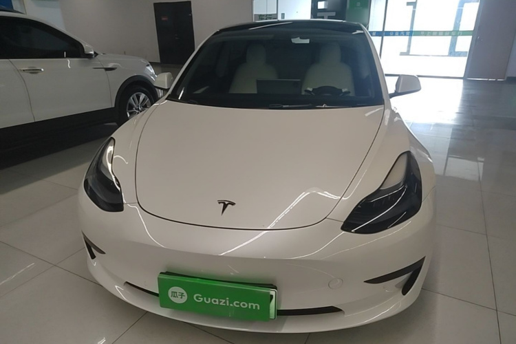 Tesla Model 3 2023 #3 Tesla Model 3 2023 car image #3