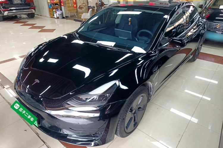 Tesla Model 3 2021 car image #2