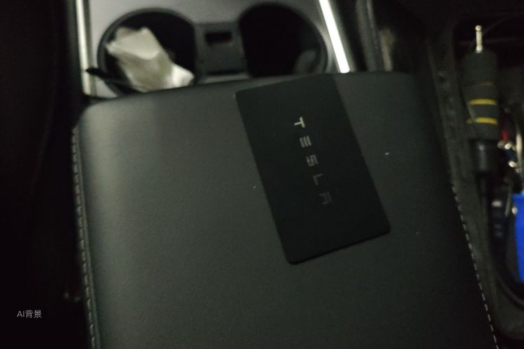 Tesla Model Y 2023 car image #10