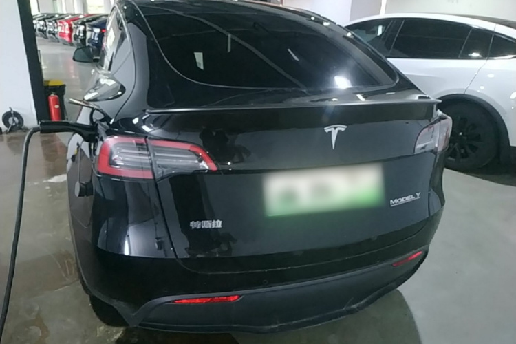 Tesla Model Y 2022 #6 Tesla Model Y 2022 car image #6