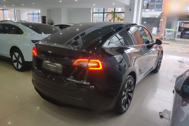 Tesla Model Y 2021 car image #7