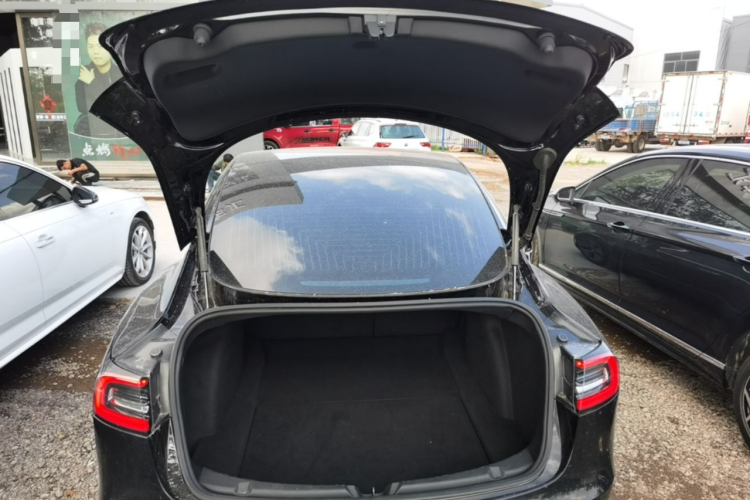 Tesla Model 3 2020 car image #19
