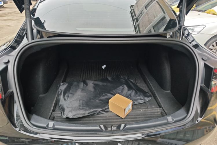 Tesla Model 3 2021 car image #19