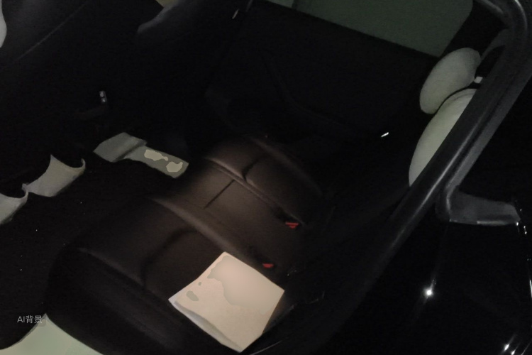 Tesla Model Y 2023 car image #19