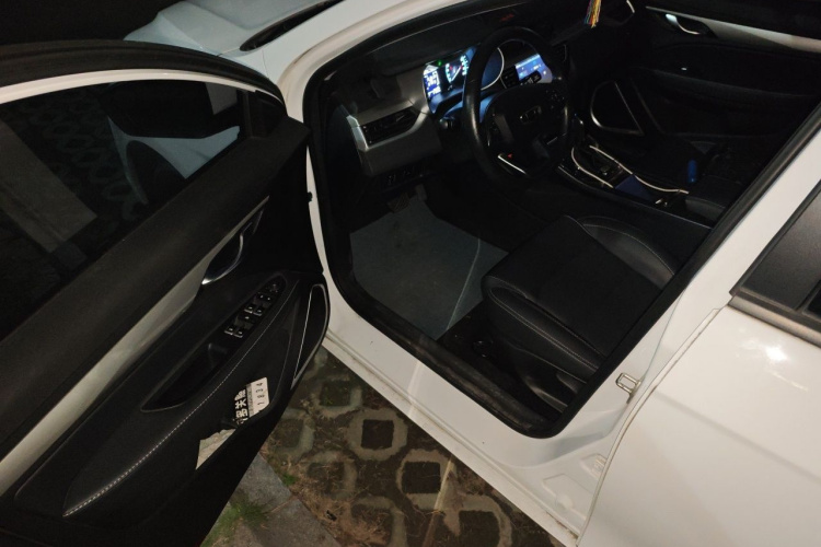 GEELY Emgrand 2020 car image #9