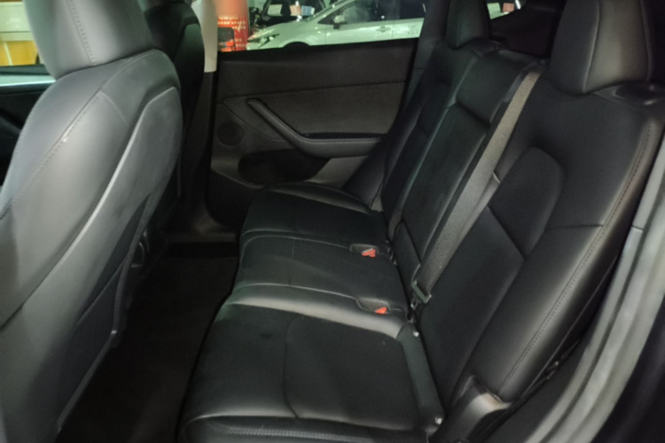 Tesla Model Y 2024 car image #17