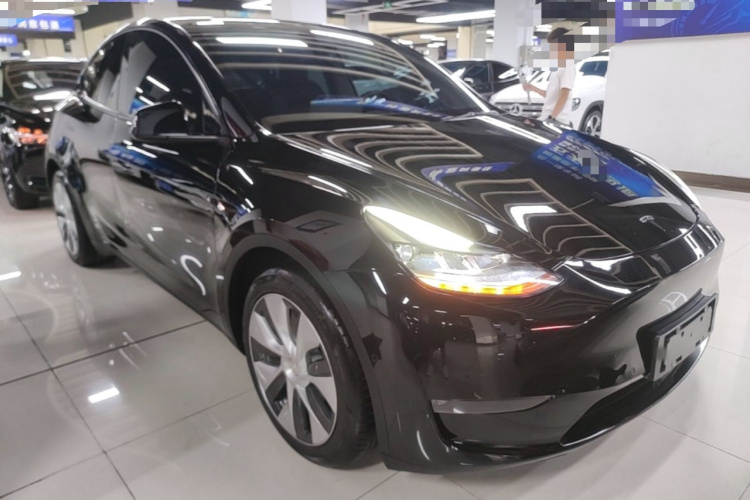 Tesla Model Y 2021 car image #4