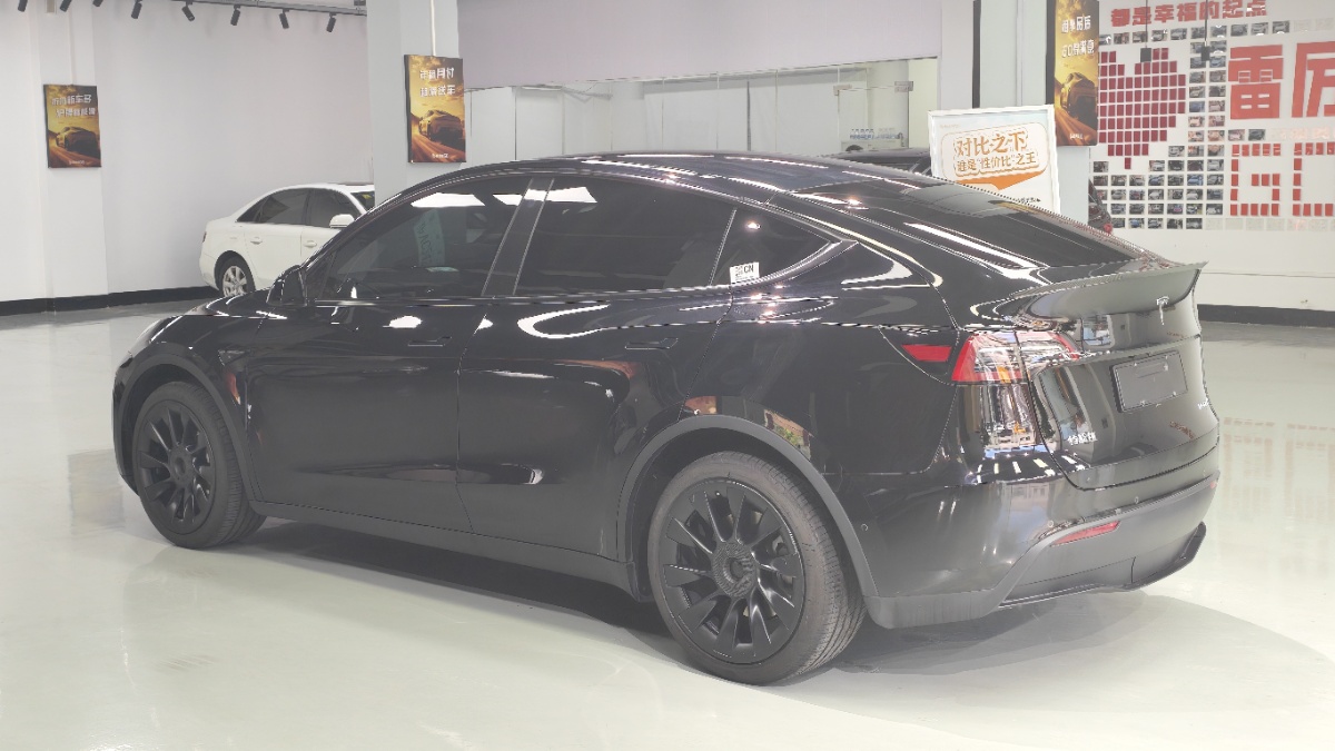 Tesla Model Y 2022 car image #9