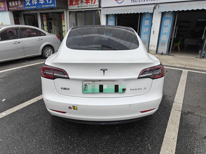 Tesla Model 3 2020 #3 Tesla Model 3 2020 car image #3