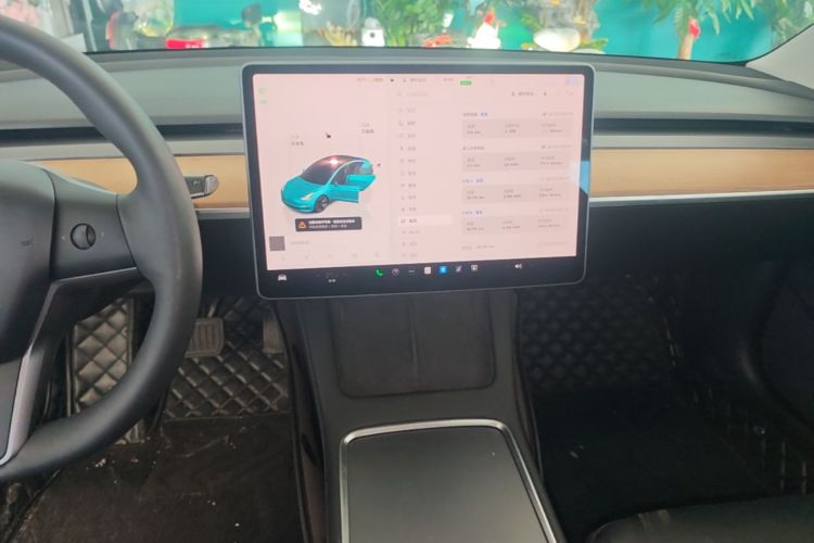 Tesla Model 3 2022 immagine di auto #13