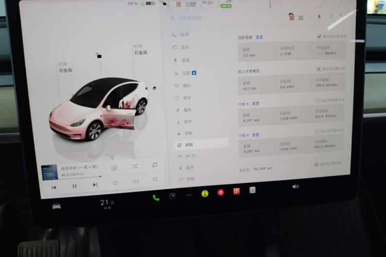 Tesla Model Y 2022 car image #12