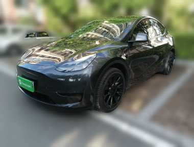 Tesla Model Y 2024 Tesla Model Y 2024 car image