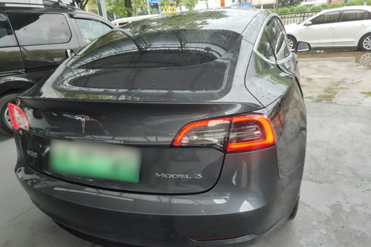 Tesla Model 3 2020 car image #6