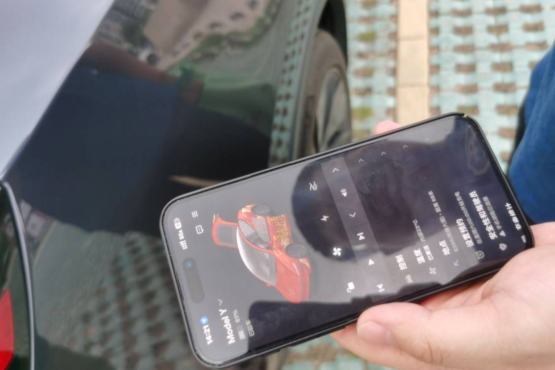 Tesla Model Y 2025 car image #30