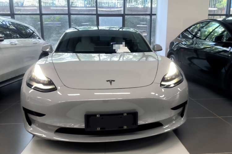Tesla Model 3 2020 #3 Tesla Model 3 2020 car image #3