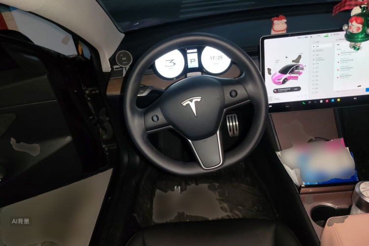 Tesla Model 3 2020 car image #12