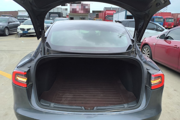 Tesla Model 3 2021 car image #19