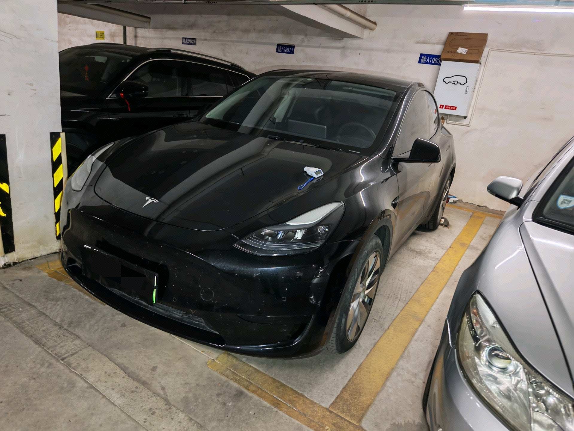 Tesla Model Y 2023 Tesla Model Y 2023 car image