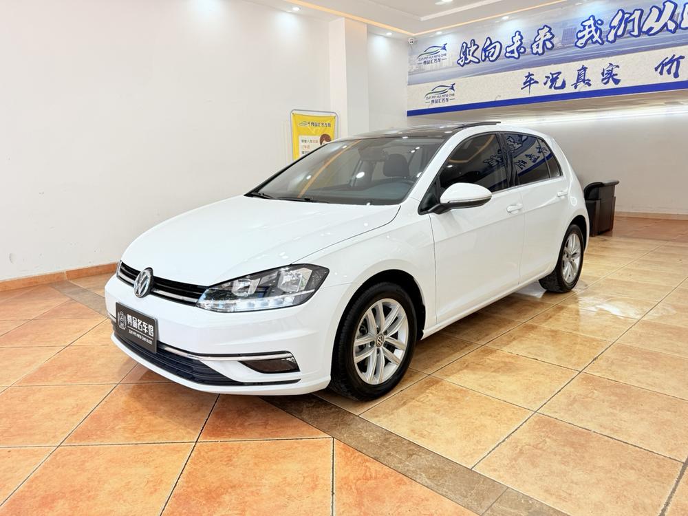 Volkswagen Golf 2019 car image 