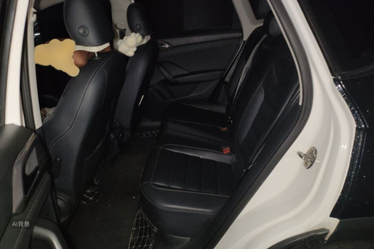 Volkswagen Tharu 2021 car image #19