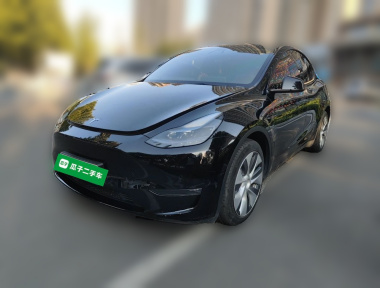 Tesla Model Y 2022 Tesla Model Y 2022 car image