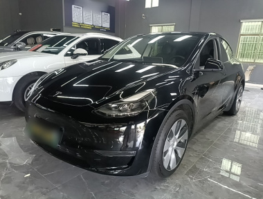 Tesla Model Y 2021 Tesla Model Y 2021 car image