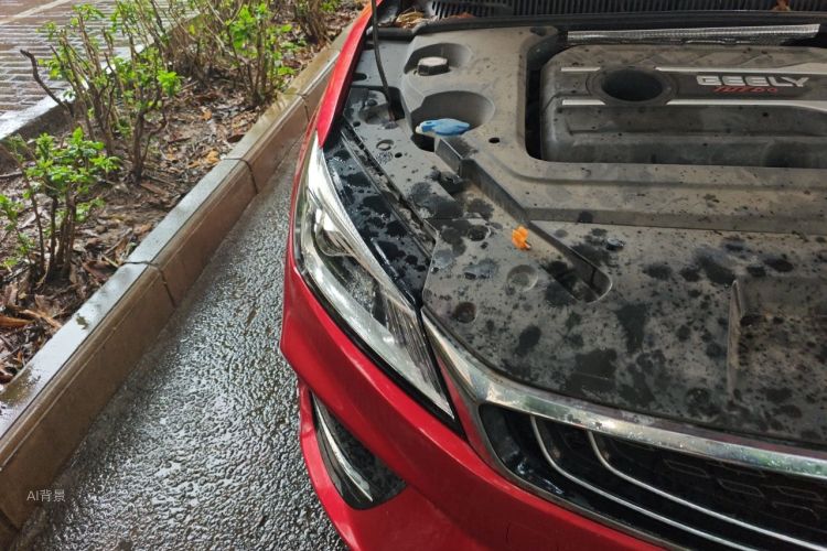 GEELY Binray 2019 #8 GEELY Binray 2019 car image #8