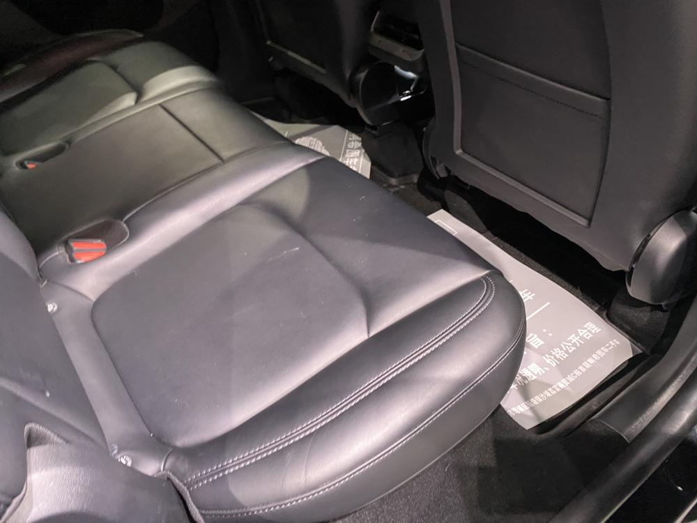 Tesla Model Y 2023 #15 Tesla Model Y 2023 car image #15