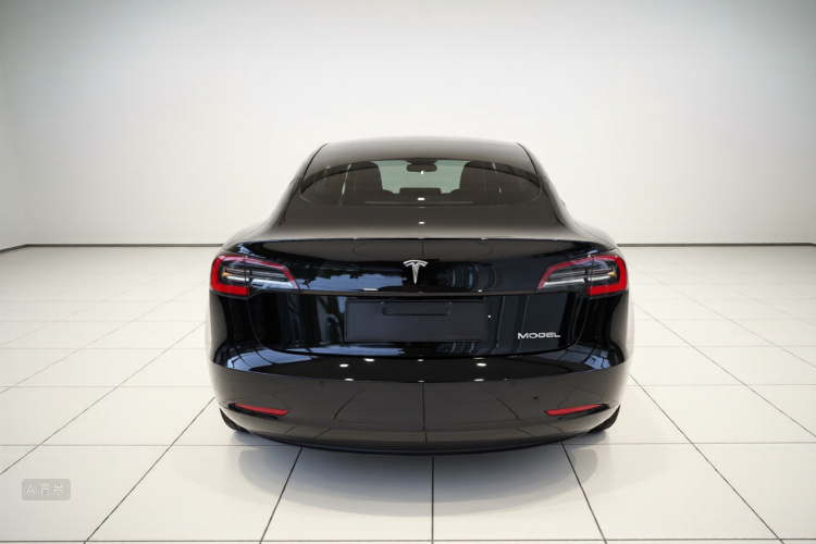 Tesla Model 3 2021 car image #6